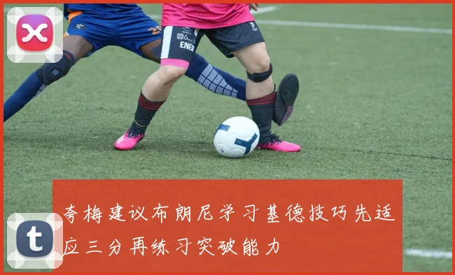 夸梅建议布朗尼学习基德技巧先适应三分再练习突破能力