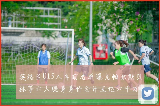 英格兰U15八年前名单曝光帕尔默贝林等六人现身身价合计五亿六千万