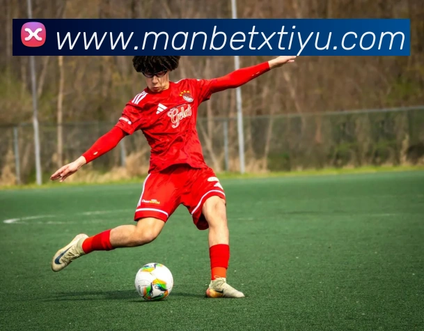 万博体育平台生态图