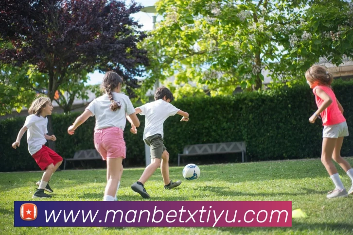 万博体育APP 封面图